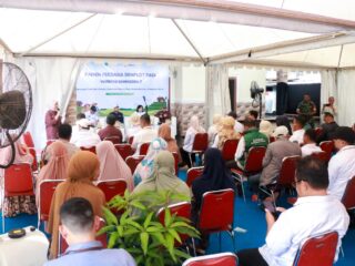 Bank Indonesia Perkuat Ketahanan Pangan,Panen Perdana Padi Gamacora 7 di Maros Capai Produktivitas Fantastis